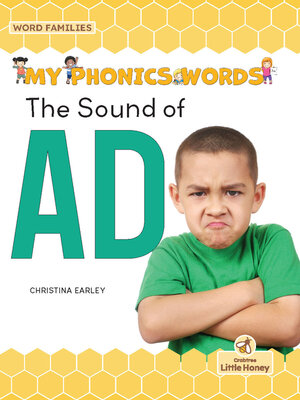 cover image of The Sound of AD